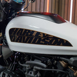 Harley-Davidson Sportster S