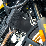 2025 Royal Enfield Himalayan