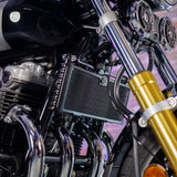 Low Mileage 2019 Honda CB1100