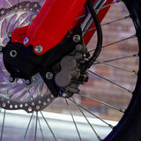 2024 Honda CRF300 Rally