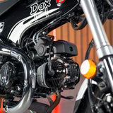 BRAND NEW Honda Dax!