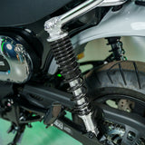 Brand new 2026 Honda Dax