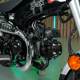 Brand new 2026 Honda Dax
