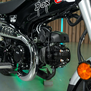 Brand new 2026 Honda Dax