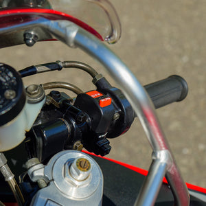 1995 Honda Firebade CBR900RR