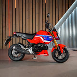 BRAND NEW Honda MSX 125 Grom