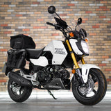 BRAND NEW Adventure Grom Honda MSX125