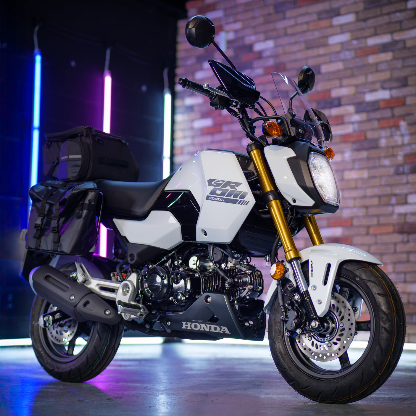 BRAND NEW Adventure Grom Honda MSX125