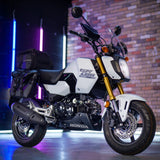 BRAND NEW Adventure Grom Honda MSX125