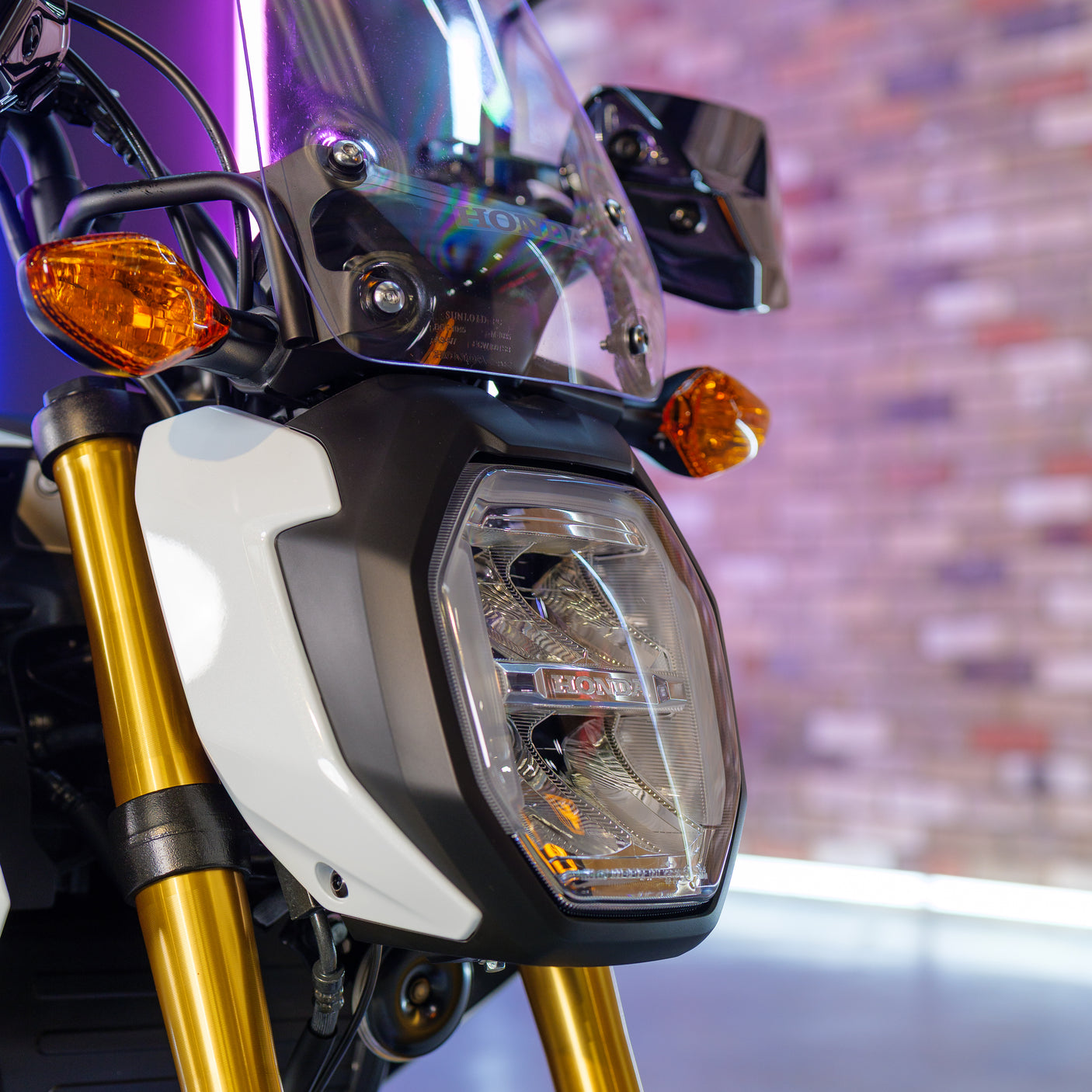 BRAND NEW Adventure Grom Honda MSX125