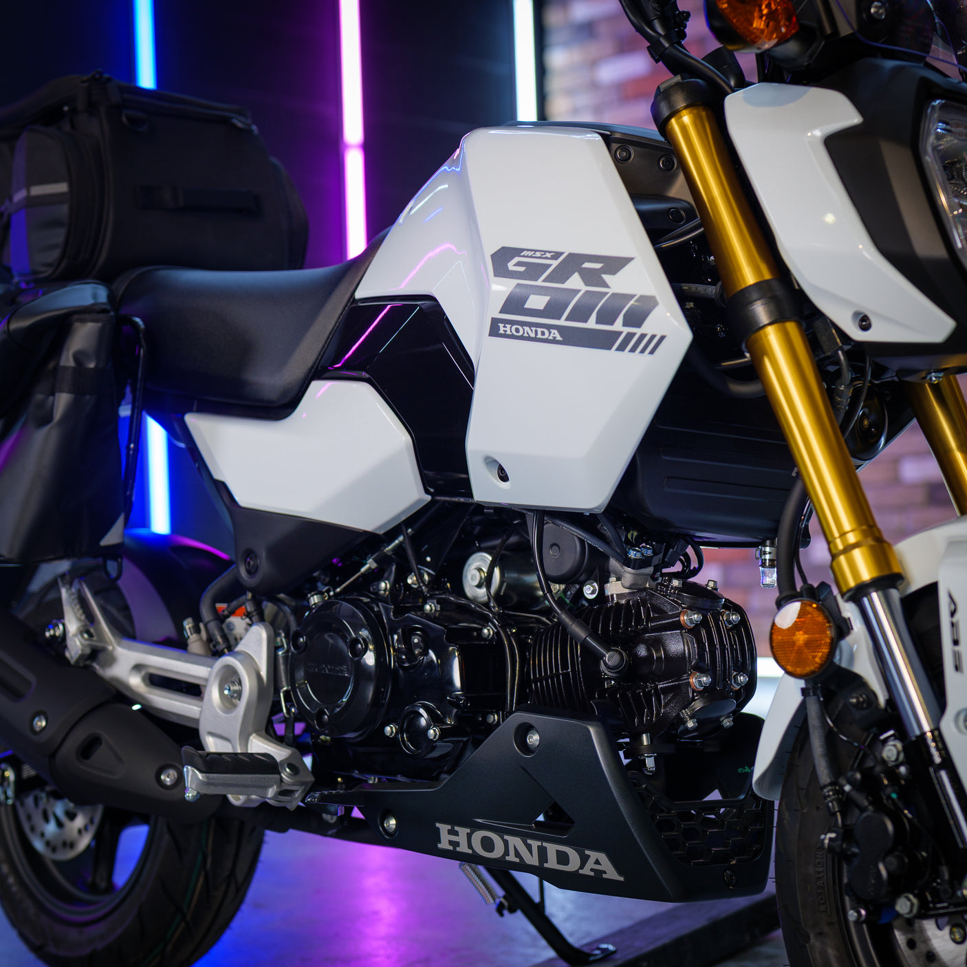 BRAND NEW Adventure Grom Honda MSX125