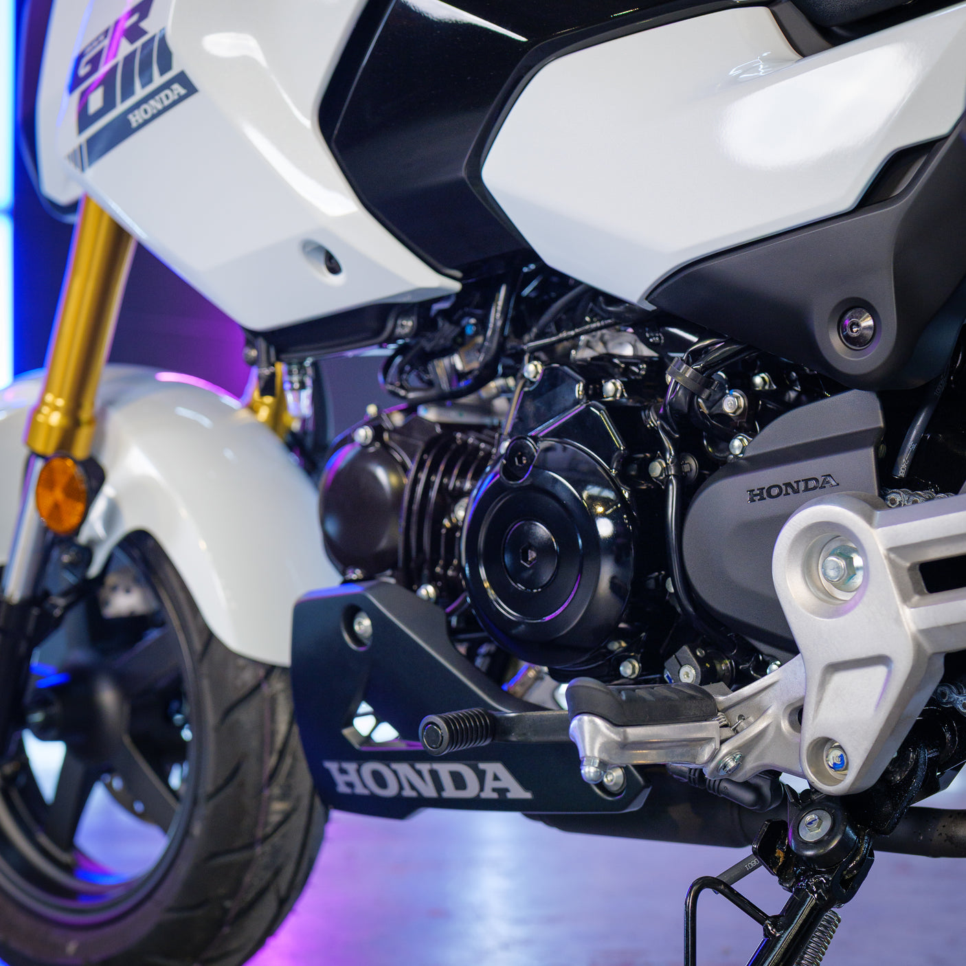 BRAND NEW Adventure Grom Honda MSX125