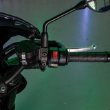 Kawasaki Z 900RS