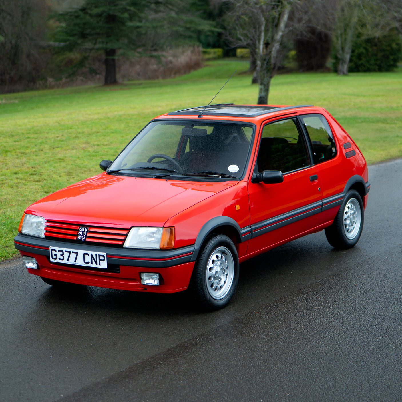 1989 Peugeot 205 GTi 1.6