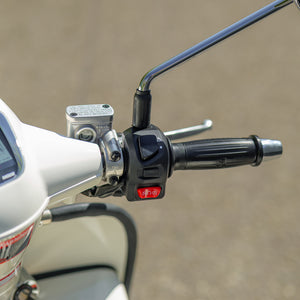 Brand New ROYAL ALLOY GP350 WITH SIDECAR