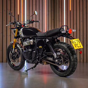 Royal Enfield Bear