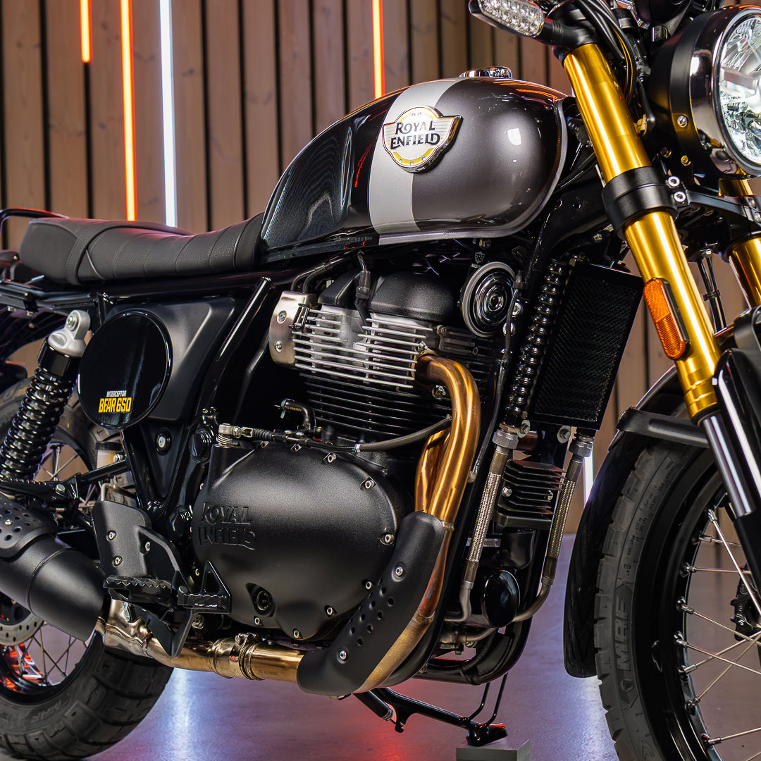 Royal Enfield Bear