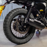 Royal Enfield Bear