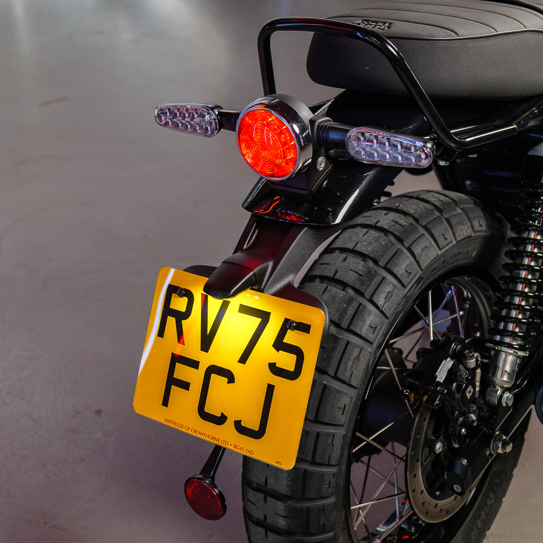 Royal Enfield Bear