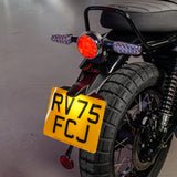 Royal Enfield Bear