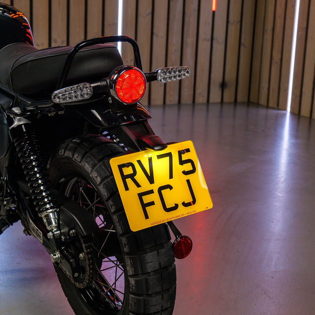 Royal Enfield Bear