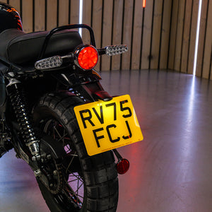 Royal Enfield Bear