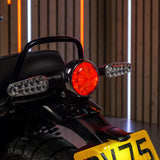 Royal Enfield Bear