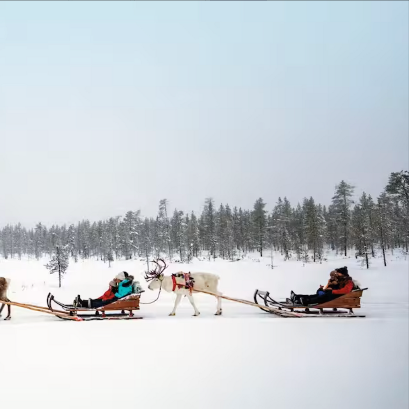 3 night Lapland Family Holiday for 4 + £1,000 - 26th Aug 25
