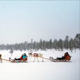 3 night Lapland Family Holiday for 4 + £1,000 - 26th Aug 25