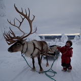 3 night Lapland Family Holiday for 4 + £1,000 - 26th Aug 25