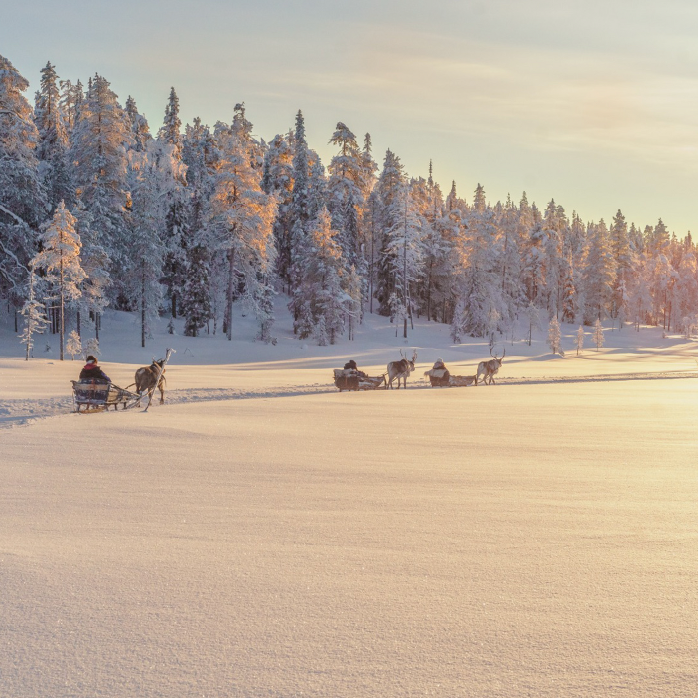 3 night Lapland Family Holiday for 4 + £1,000 - 26th Aug 25