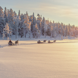 3 night Lapland Family Holiday for 4 + £1,000 - 26th Aug 25