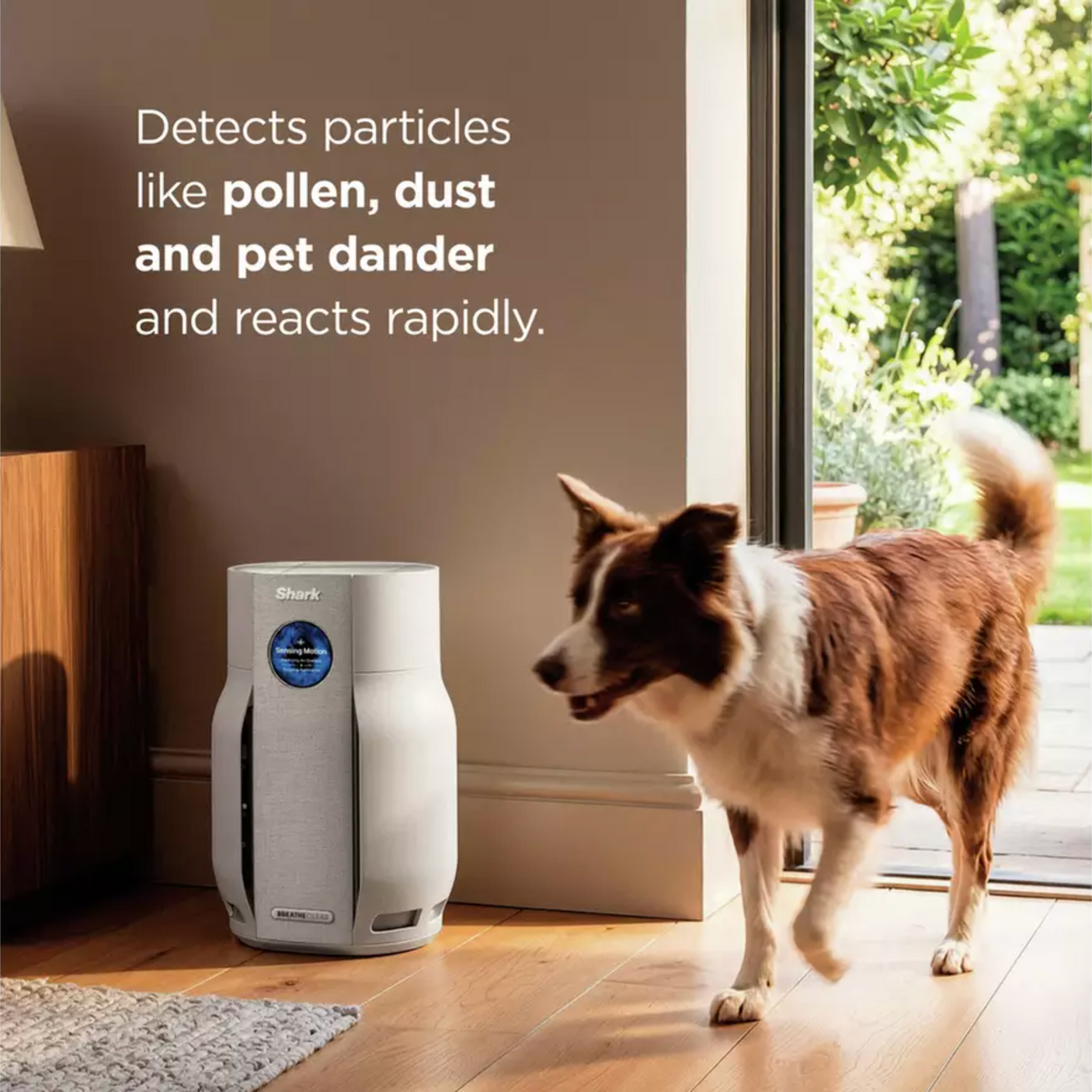 Shark BreatheClear with NeverChange6 Air Purifier