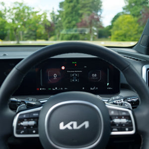 Automatic 7-Seat Kia Sorento