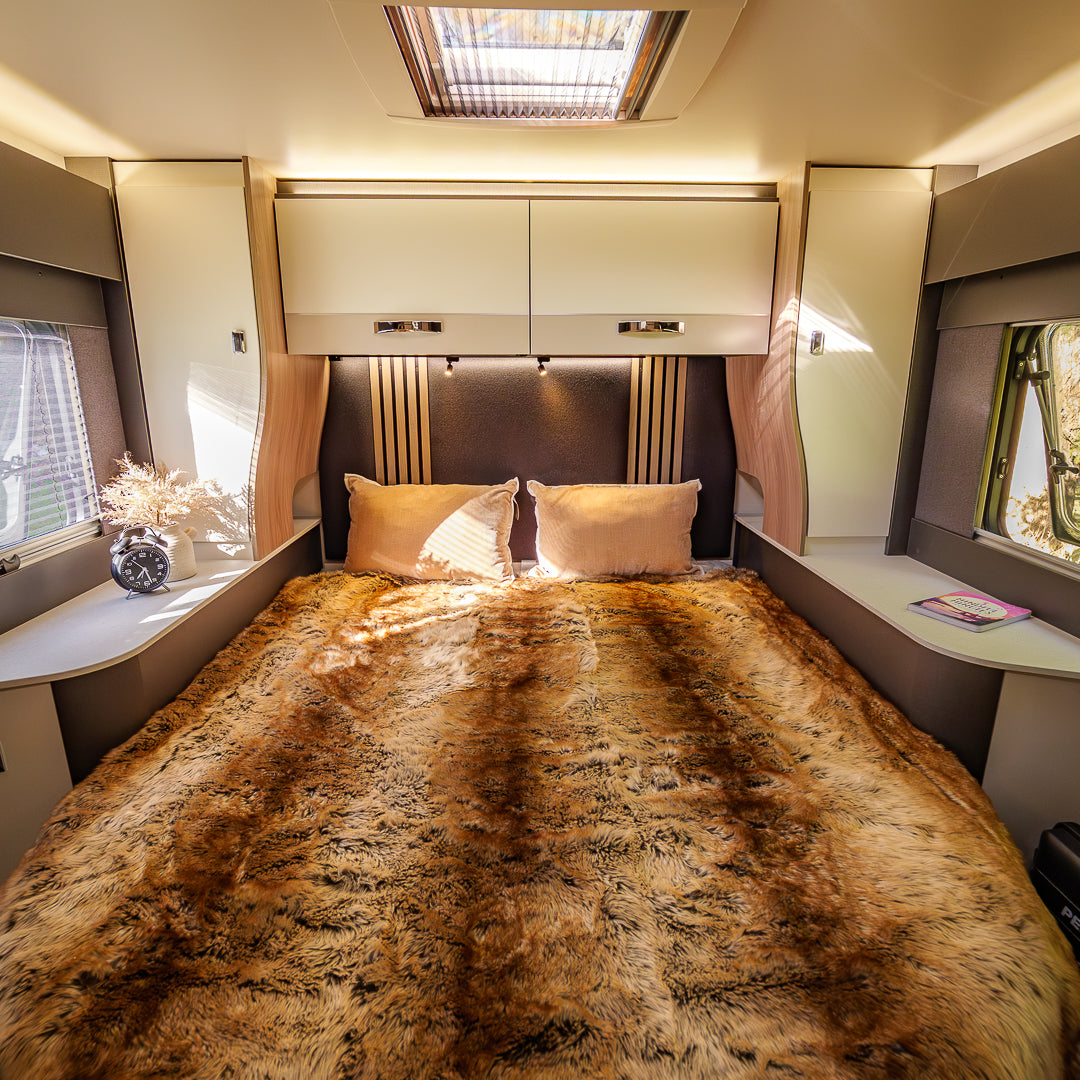 Brand New 2026 Automatic 4 berth Swift Trekker Motorhome