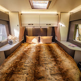 Brand New 2026 Automatic 4 berth Swift Trekker Motorhome