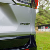 Toyota Rav 4 2.5 MHEV