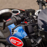 Triumph Trident 660 Triple Tribute