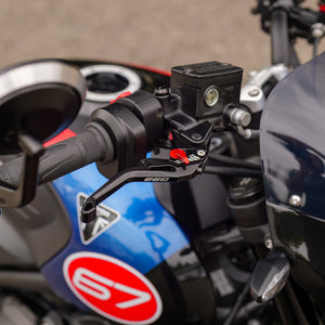 Triumph Trident 660 Triple Tribute