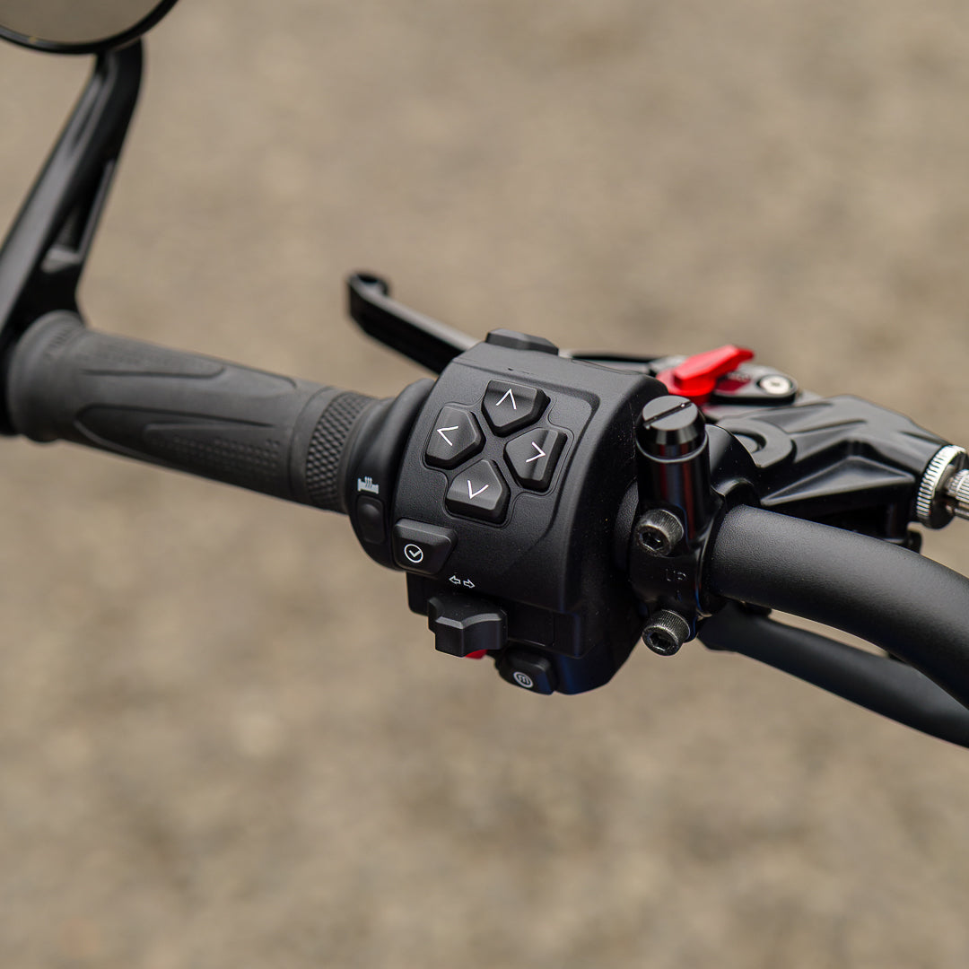 Triumph Trident 660 Triple Tribute
