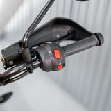 LOW ODDS: BRAND NEW Triumph Scrambler 400Xc