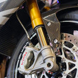FAST FRIDAY: Carbon TRIUMPH DAYTONA MOTO2 765