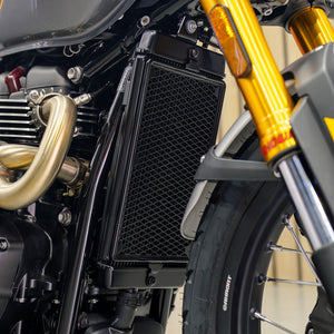BRAND NEW Triumph Scrambler 900