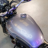 Custom 2023 Triumph Scrambler 900