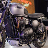 Custom 2023 Triumph Scrambler 900