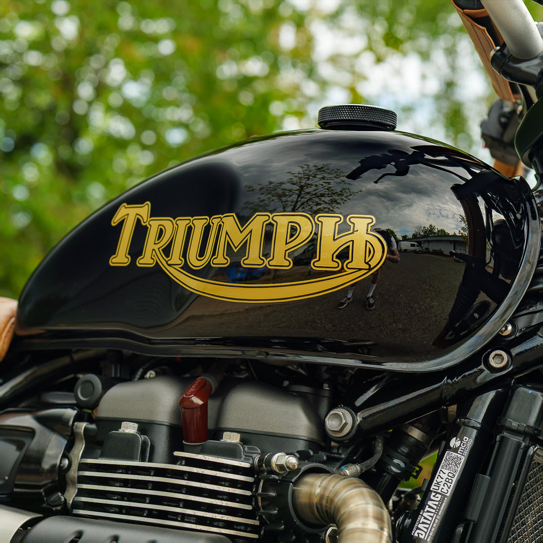 Custom Wide Wheel Triumph Scrambler 900