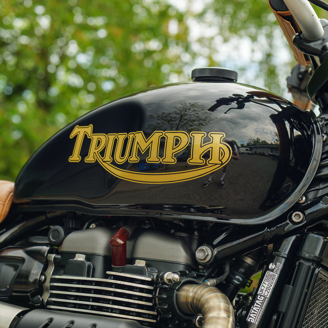 Custom Wide Wheel Triumph Scrambler 900
