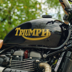 Custom Wide Wheel Triumph Scrambler 900