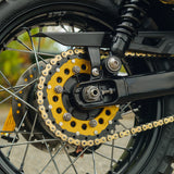 Custom Wide Wheel Triumph Scrambler 900