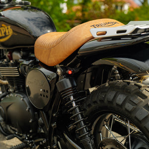 Custom Wide Wheel Triumph Scrambler 900